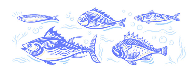 Fish set. Art tuna, sardine, mackerel. Crayon sign