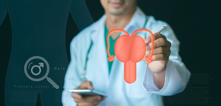 Prostate cancer and male health care concept. reproductive system  symbols of cystitis, urinary tract infection, erectile dysfunction, and urology issues on banner background
