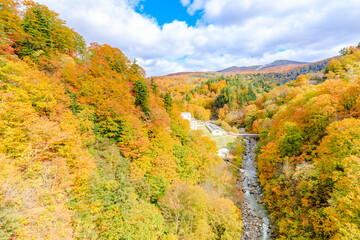 秋の玉川温泉大橋から見た景色　秋田県仙北市　Autumn view from Tamagawa Onsen Bridge. Akita Pref, Semboku City.