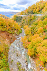 秋の玉川温泉大橋から見た景色　秋田県仙北市　Autumn view from Tamagawa Onsen Bridge. Akita Pref, Semboku City.