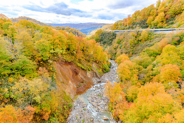 秋の玉川温泉大橋から見た景色　秋田県仙北市　Autumn view from Tamagawa Onsen Bridge. Akita Pref, Semboku City.