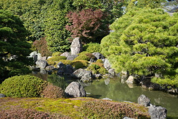 京都 秋の紅葉の季節の城南宮の風景