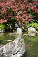 京都 秋の紅葉の季節の城南宮の風景