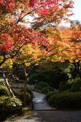 京都 秋の紅葉の季節の城南宮の風景