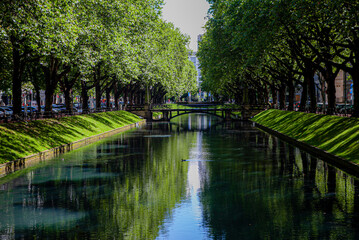 A peaceful canal reflects green trees under a bright blue sky as a duck glides quietly by