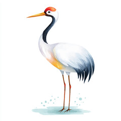 Obraz premium Elegant Red-crowned Crane Watercolor Illustration