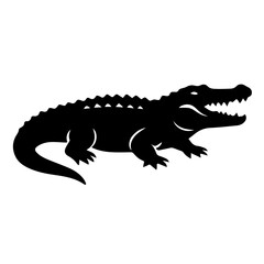 crocodile isolated on white background