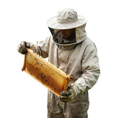 Beekeeper Holding Honeycomb Frame With Bees