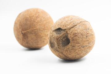 Coconuts isolated on white background