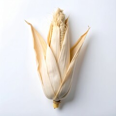 An elegant display of dried white corn, its pale husks gently opened to unveil milky kernels and delicate silk against a clean white backdrop.