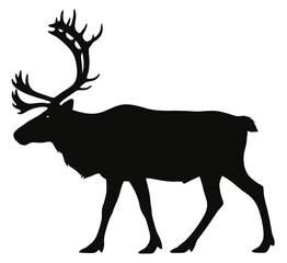 Silhouette of a Majestic Reindeer Walking Against a White Background