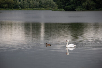 Region Teutoburger Wald