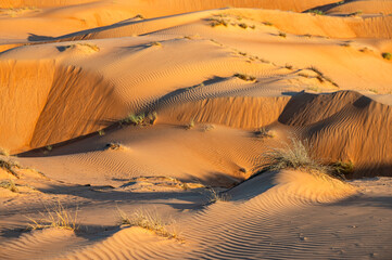 Vast Sand Dunes of Wahiba Sands, a Popular Tourist Destination near Bidiyah, Oman