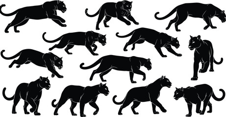 Black panther and jaguar silhouette vector collection, set of large wild  prowling