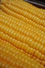 close up of corn