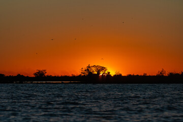 Naklejka premium Atardecer en los Esteros del Ibera, Corrientes, Argentina