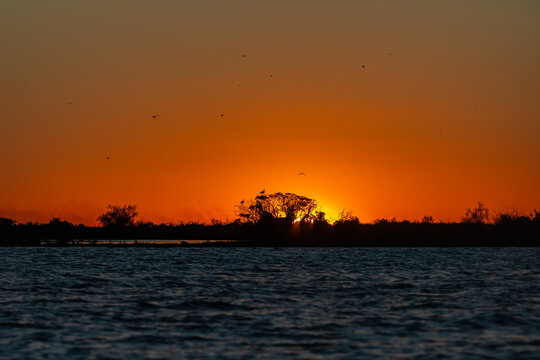 Atardecer en los Esteros del Ibera, Corrientes, Argentina