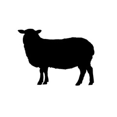 sheep silhouette - vector illustration