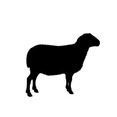 sheep silhouette - vector illustration