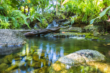 Tranquil tropical garden waterfall with lush greenery and rocks.
