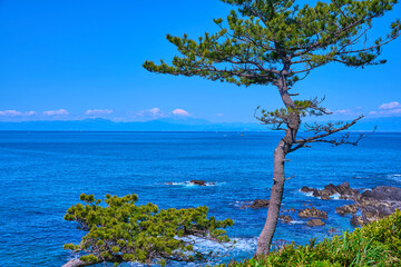 神奈川県横須賀市の荒崎公園(潮風の丘付近)から西側の眺望(富士山,相模湾など)