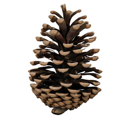 Realistic pinecone ornament with natural texture and elegant decorative detail