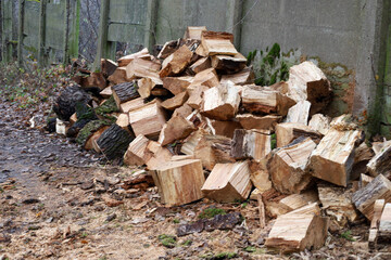 An untidy pile of split firewood for heating lies on the ground next to an old concrete wall. The freshly split logs, surrounded by sawdust and fallen leaves, create an atmosphere of preparation for t