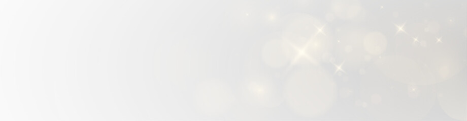 Magical Festive Gold Dust Glow