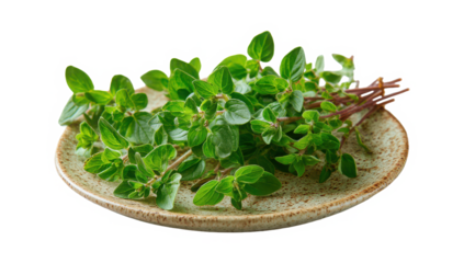 Fresh oregano sprigs on rustic plate, perfect for healthy cooking and food photography isolated on a transparent background