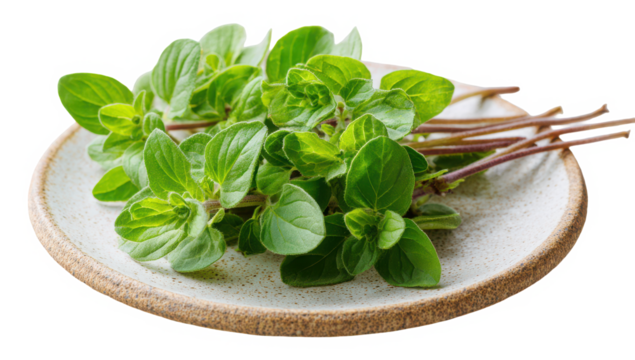Fresh oregano sprigs on rustic plate ready for cooking delicious Mediterranean meals isolated on a transparent background