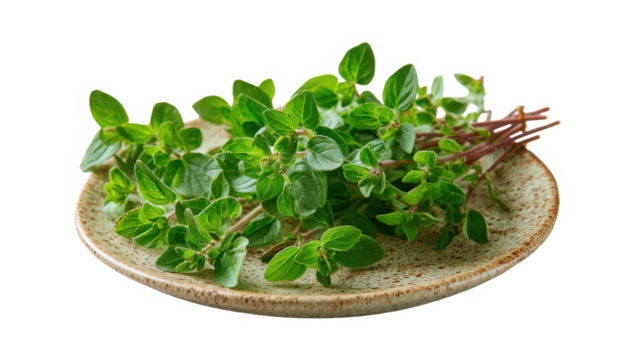Fresh oregano sprigs on rustic plate, perfect for healthy cooking and food photography isolated on a transparent background