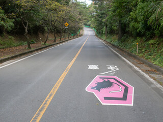 Road signs warning of endangered animals crossing the road in Okinawa, Japan.