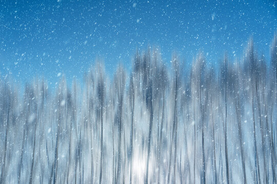 Light abstract winter background with snowfall - Powered by Adobe