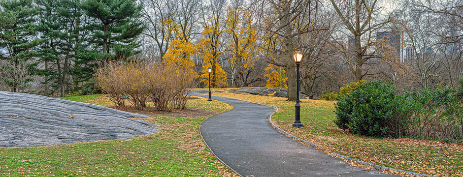 Autumn in Central Park, early orning