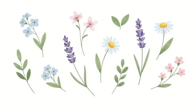 Charming hand-painted watercolor wildflowers and botanical elements set, perfect for delicate spring designs