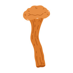 Chanterelle mushroom isolated on a white background. Vector hand-drawn illustration in a flat style. Perfect for decorations, logo, autumn and forest themes, various designs.