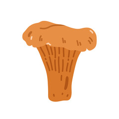 Chanterelle mushroom isolated on a white background. Vector hand-drawn illustration in a flat style. Perfect for decorations, logo, autumn and forest themes, various designs.