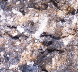 eye catching stone textures