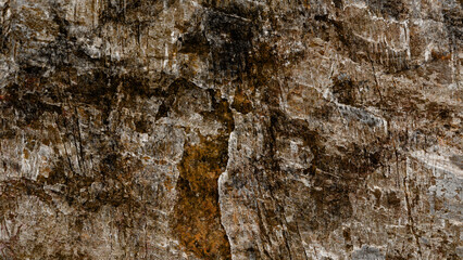 stylish wooden texture
