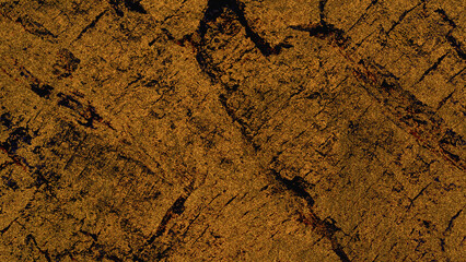 stylish wooden texture