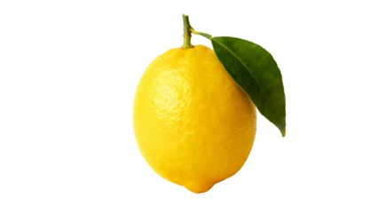 Bright yellow lemon hanging on a green branch with a single leaf under natural light
