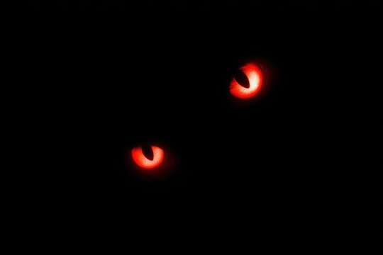 Mysterious Glowing Eyes in Darkness