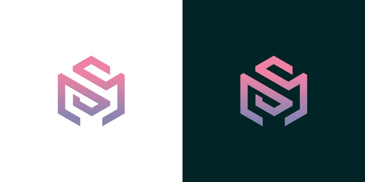 Abstract Hexagonal Logo Design with Interlocking Monogram 'SM' in Gradient Purple and Pink Tones