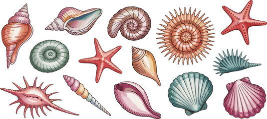 Detailed colorful seashell and starfish illustration featuring various ocean shells, marine elements, and beach-inspired designs
