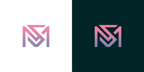 Elegant SM Monogram Logo Design with a Modern Gradient