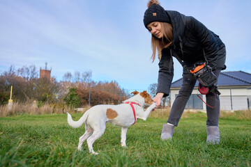 Woman training small dog outdoors on grass field in cold weather