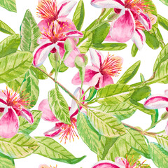 Feijoa flowers. Watercolor seamless pattern with feijoa flowers and leaves on branches isolated on white. For printing on fabric, wallpaper, paper, curtains, prints, wrapping paper, cosmetics