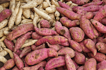 Pink and white sweet potatoes in the market