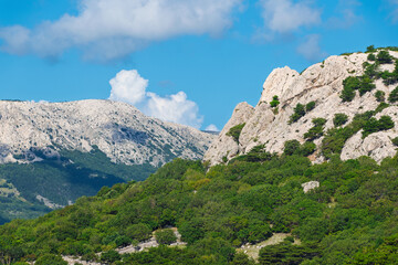 Scenic mountain landscape with lush greenery and rocky peaks under blue sky