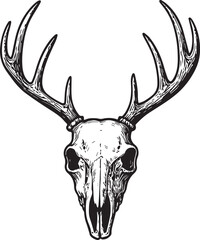 Deer skull and horns vector illustration